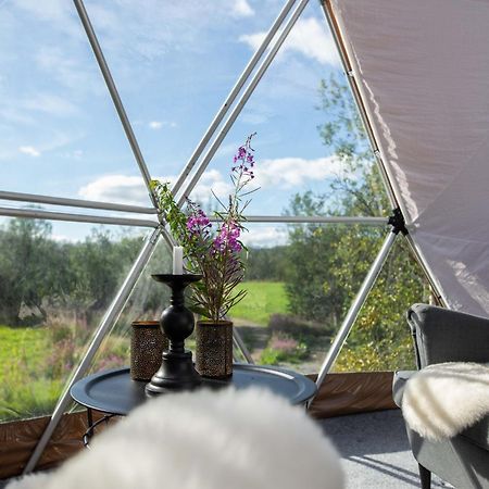 Aera - Glass Cabins 特罗姆瑟 外观 照片